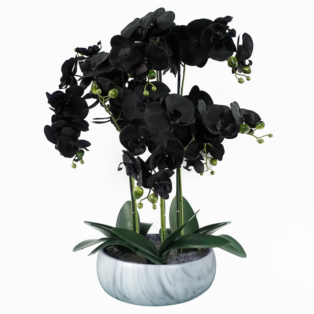 A planter that competes with the plant