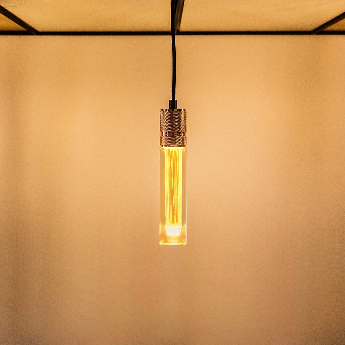 A bulb meant to be seen