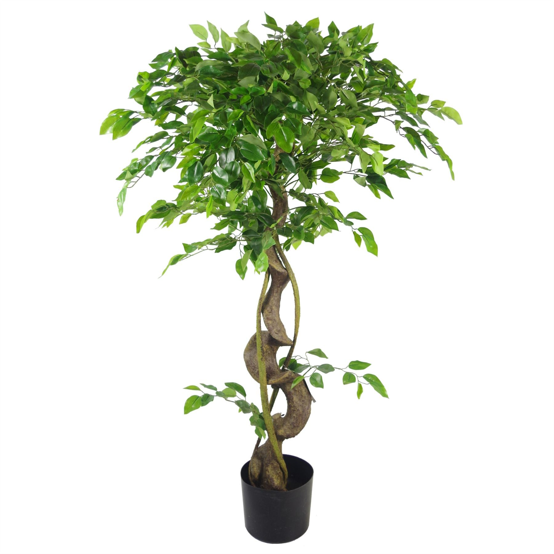 82571012