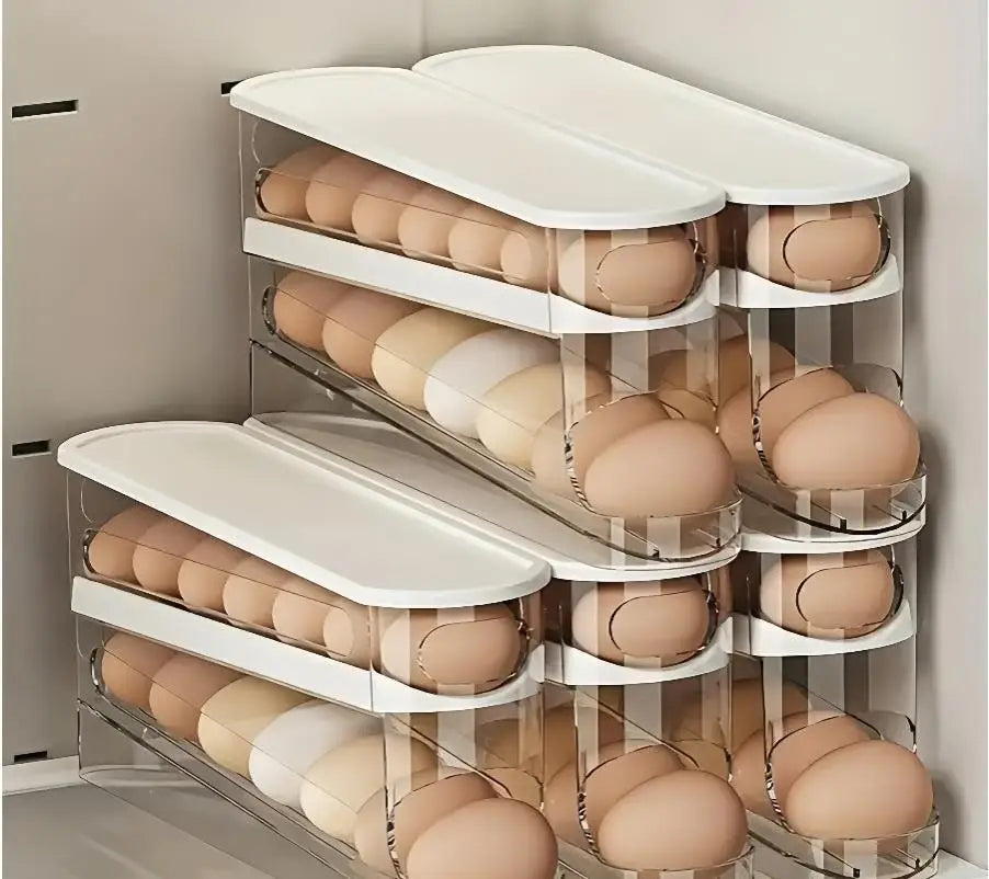 Bilayer Fridge Egg Storage Box