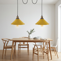 Brushed Brass 2 Way Retro Industrial Ceiling E27 Hanging Lamp Pendant Light~3510 styled lifestyle image