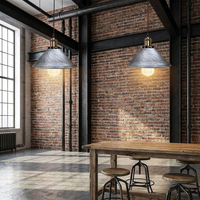 Brushed Silver 2 Way Retro Industrial Ceiling Pendant Light - lifestyle
