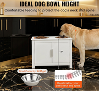 Modern Pet Feeding Station with 2 Steel Bowls and Storage, Raised Dog & Cat Feeder for Kitchen & Dining Room, Sleek Contemporary Style