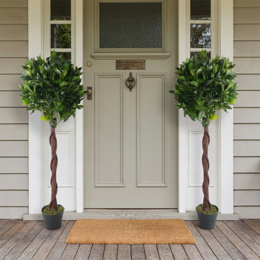 Twisted Bay Laurel Trees Pair 120cm flanking front entryway lifestyle image