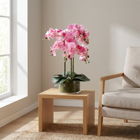 Pink Orchid in Glass Planter, 50cm - realistic lifestyle photo
