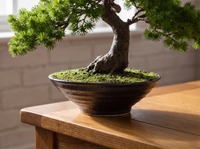 Artificial Luxury Pine Bonsai Tree ceramic pot detail