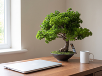 Artificial Luxury Pine Bonsai Tree on home office desk