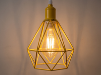 Industrial Metal Cage Pendant Light hood detail