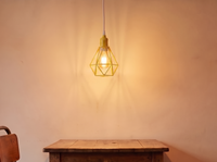 Industrial Metal Cage Pendant Light 6 Colours - a warmer glow than a plain shade