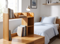 Desktop Bookshelf 2-Tier - tidy dorm room desk lifestyle