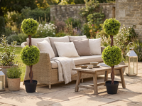 Pair of Green Double Ball Topiary Trees on a patio lounge, corrected 90cm scale