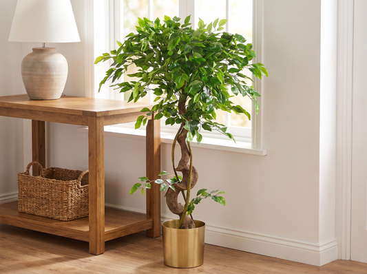 Artificial Twisted Trunk Ficus Tree 120cm - entryway detail